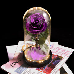 Forever Rose with LED Lights 3 Days Delivery - Pink