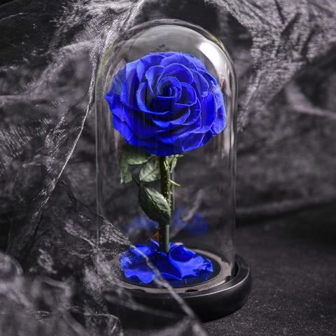 Forever Rose in Glass Dome A Memory Preserved in A Rose