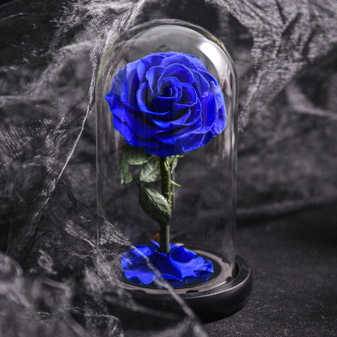 Forever Rose in Glass Dome with LED A Memory Preserved in A Rose