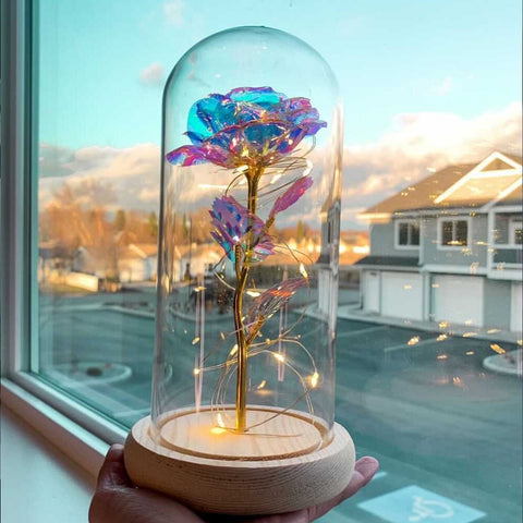 Galaxy Rose in Glass Dome Cherish the Moment