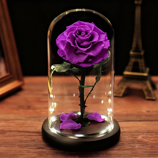 Eternal Rose in Glass Dome with LED Lights A Memory Preserved in A Rose