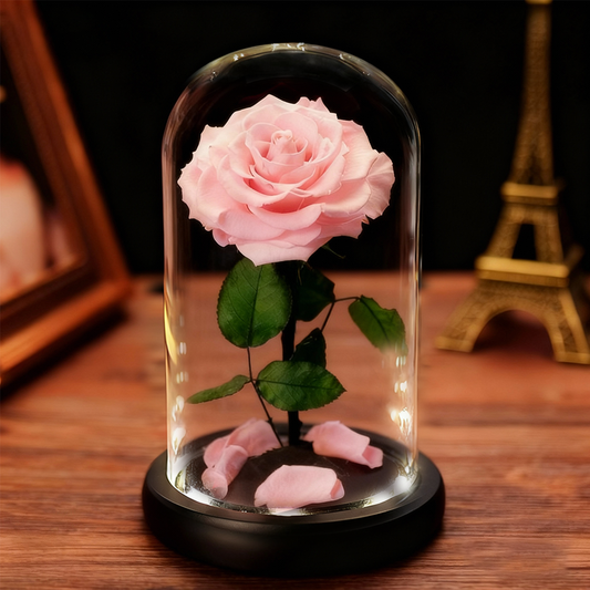 Preserved Rose in Glass Dome with LED Lights A Memory Preserved in A Rose
