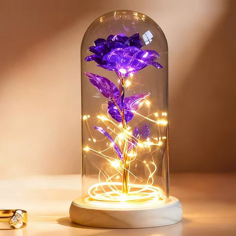 Galaxy Rose in Glass Dome with LED Lamp