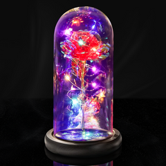 Annivesary Gifts Galaxy Rose in Glass with LED Lights Enchanted Rose - Red