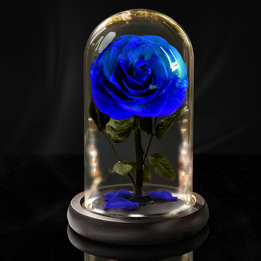 Forever Rose with LED Lights in Glass Dome
