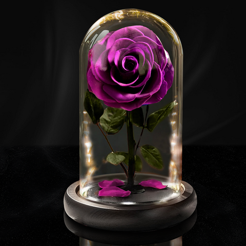 Forever Rose Timeless Rose with LED Lights in Glass Dome