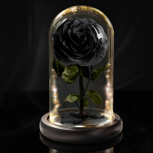 Forever Rose with LED Lights in Glass Dome