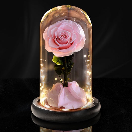 Forever Rose Preserved Rose with LED Lights in Glass