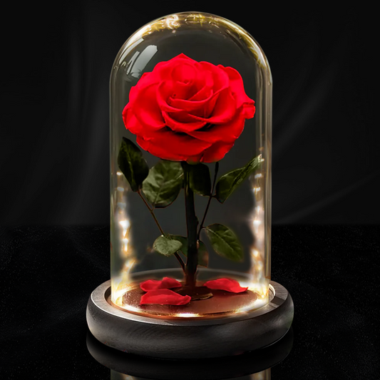 Forever Rose in Glass with LED Lights Luxury Gifts for Her