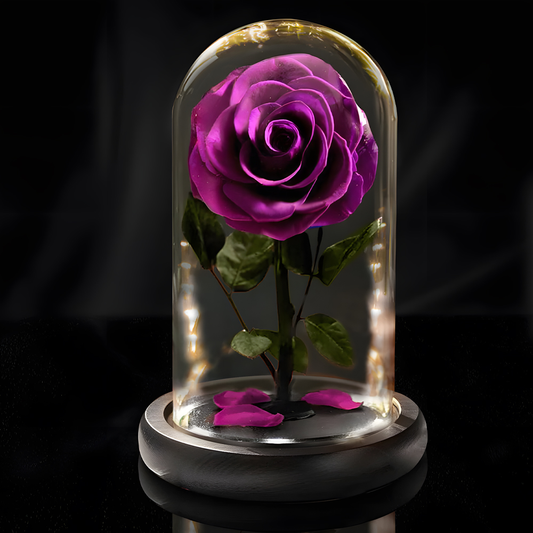 Eternal Rose in Glass Dome with LED Lights A Memory Preserved in A Rose