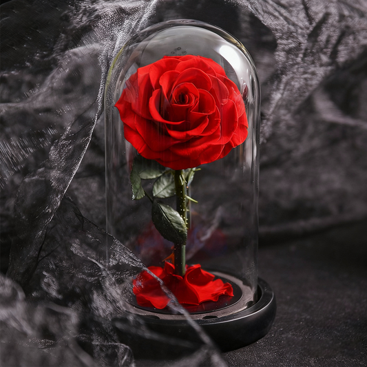 Forever Rose in Glass Dome Decoration Rose