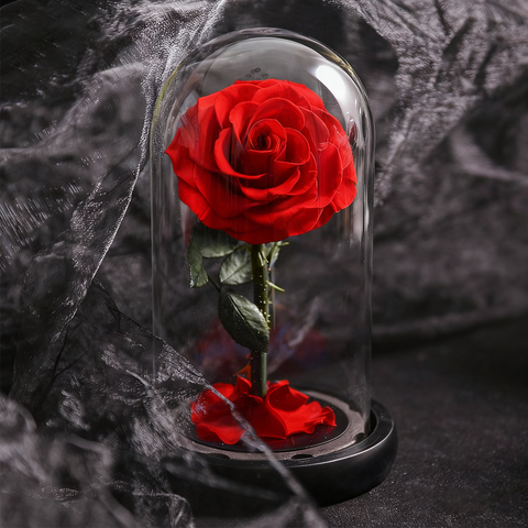 Forever Rose in Glass Dome with LED A Memory Preserved in A Rose