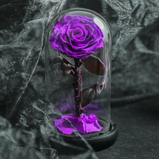 Forever Rose in Glass Dome A Memory Preserved in A Rose