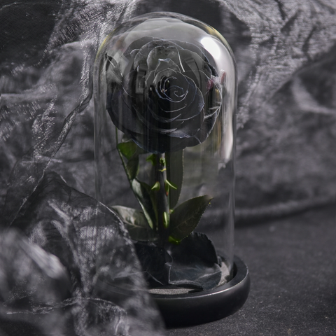 Preserved Rose in Glass Dome with LED Lights