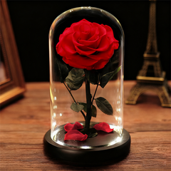 Forever Yours - Forever Rose in Glass Dome with LED Lights