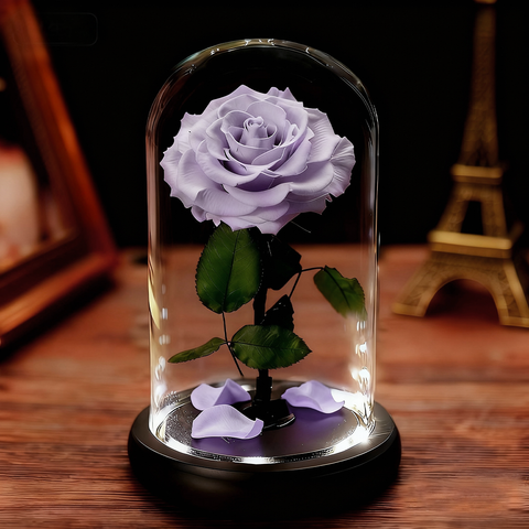 Forever Rose in Glass Dome A Memory Preserved in A Rose