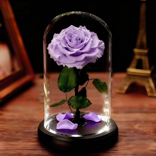 Preserved Forever Rose in Glass Dome with LED Lights