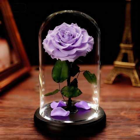 Preserved Forever Rose in Glass Dome with LED Lights