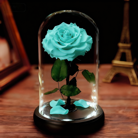 Forever Rose in Glass Dome A Memory Preserved in A Rose