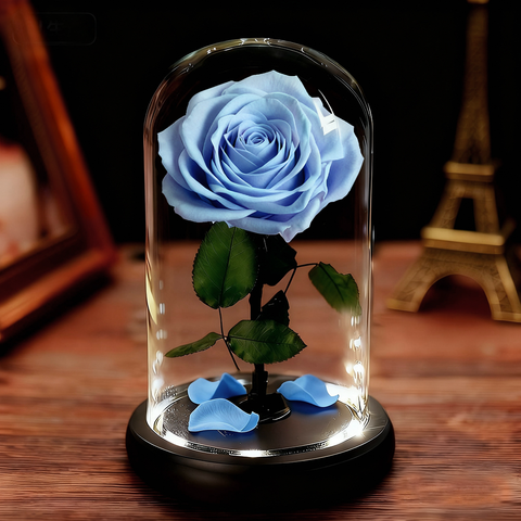 Forever Rose in Glass Dome with LED Lights Luxury Gifts