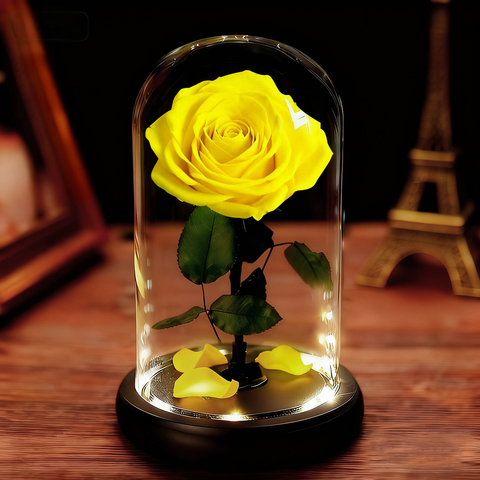Forever Rose in Glass Dome Preserved Rose with LED Lights
