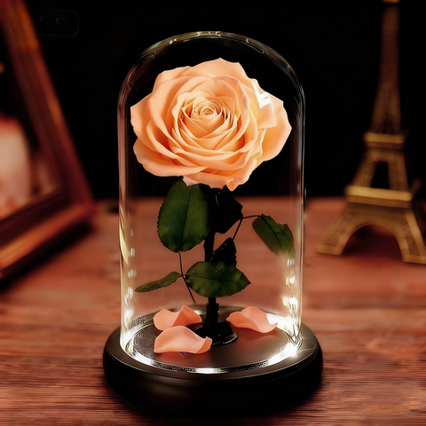 Enchanted Forever Rose in Glass Dome Forever Yours