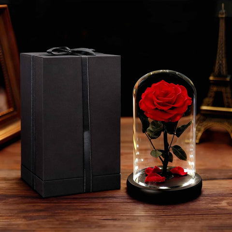Luxury Gifts for Her Forever Rose in Glass Dome with LED Lights