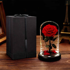 Forever Yours - Forever Rose in Glass Dome with LED Lights