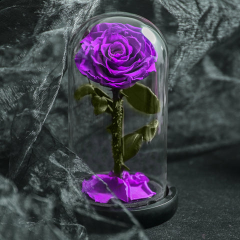 Forever Rose in Glass Dome with LED Lights Luxury Gifts