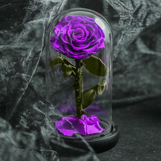 Forever Rose in Glass Dome A Memory Preserved in A Rose