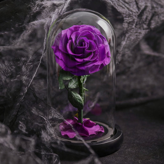 Forever Rose in Glass Dome A Memory Preserved in A Rose