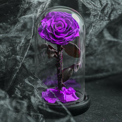 Forever Rose Real Flower in Glass Dome 3 Days Delivery - Black