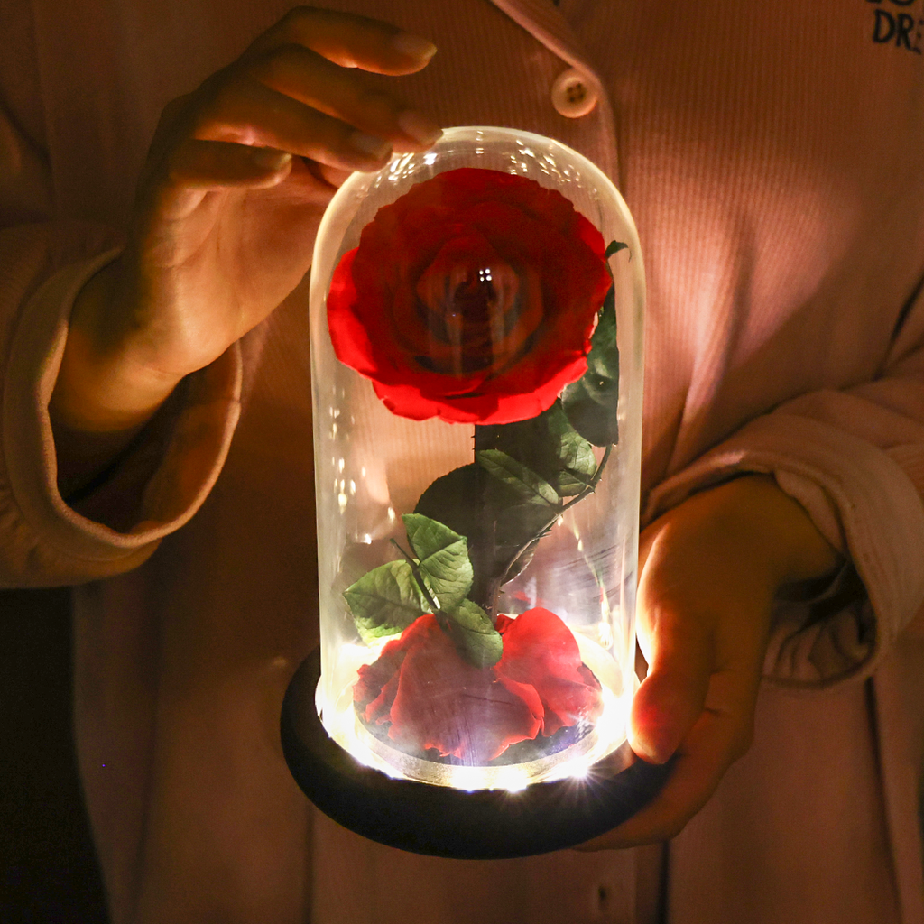 Forever Rose - Love Eternal, Rose Immortal丨Myglassrose