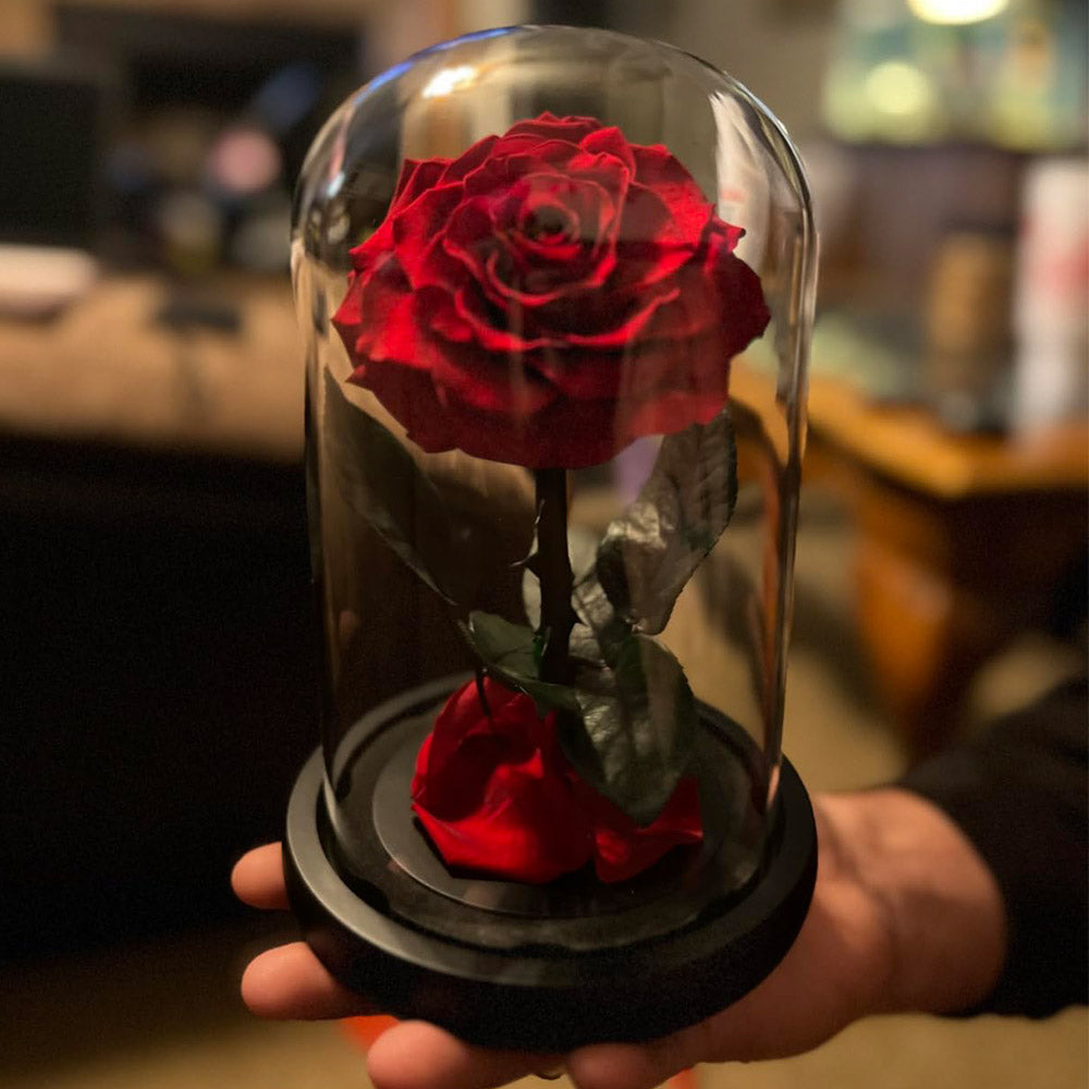 Myglassrose