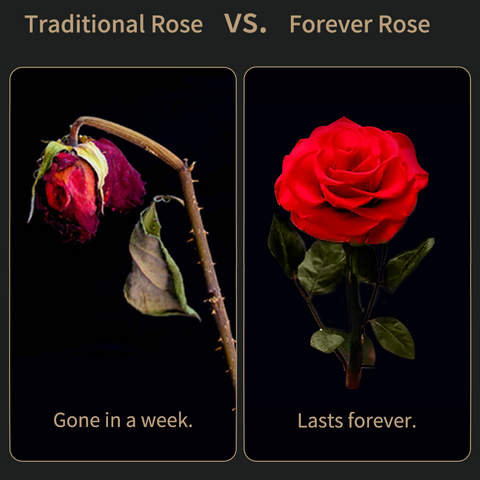 Eternal Rose in Glass Dome A Memory Preserved in a Rose