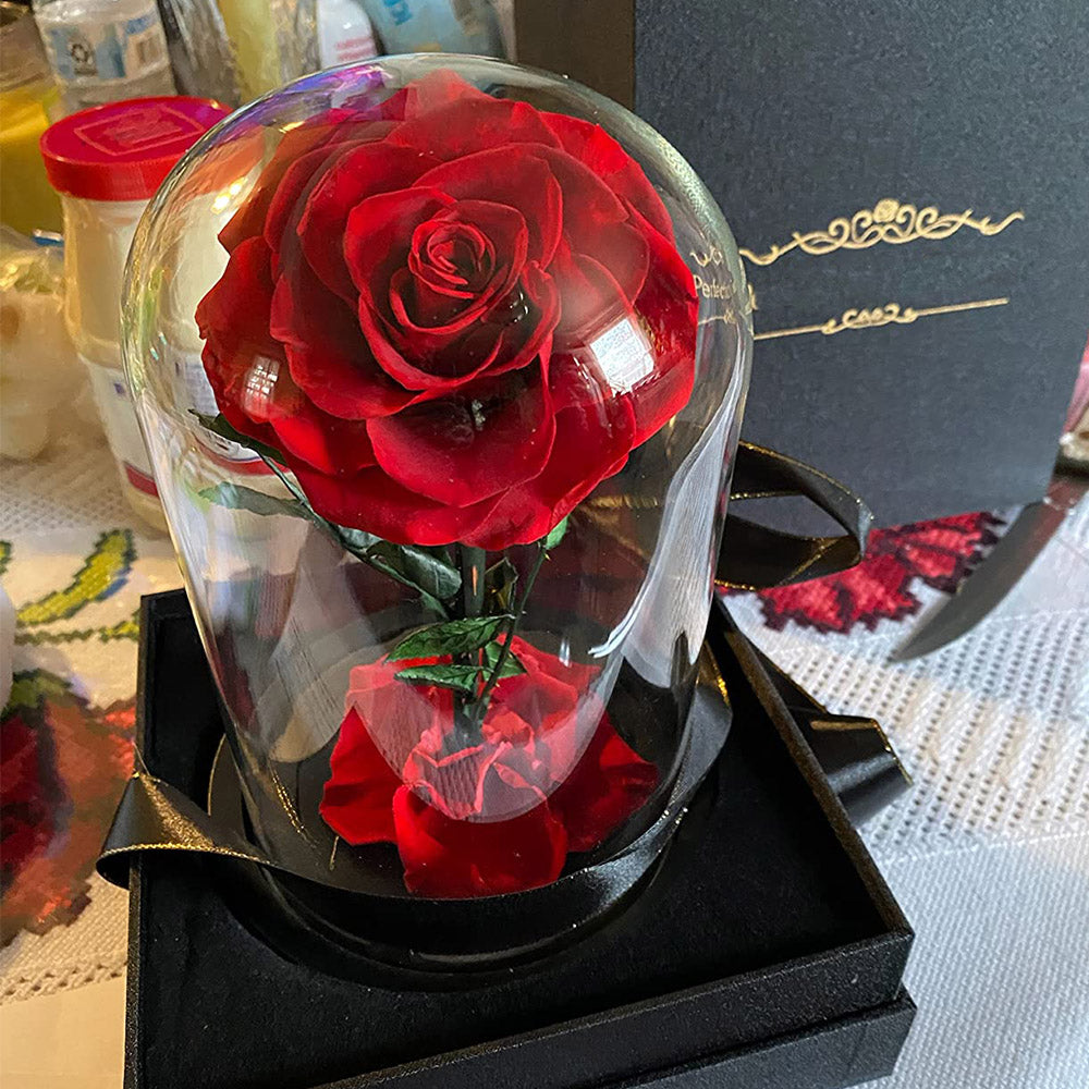 Myglassrose