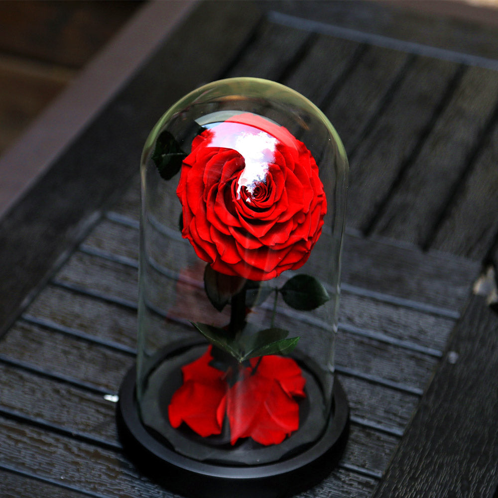 Myglassrose