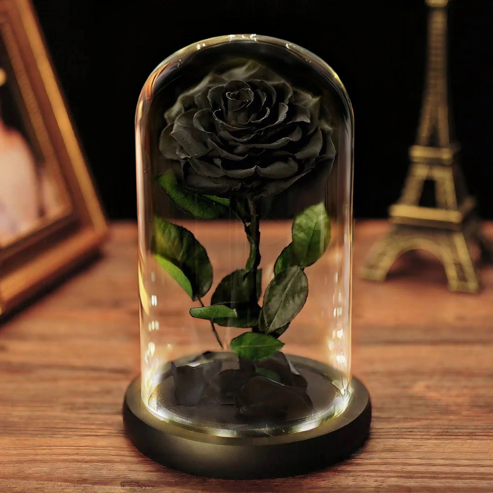 Rose In Glass Black Forever Rose in Glass Dome with LED Lights - Romantic Gifts ...