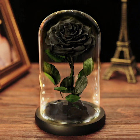 Forever Rose in Glass Dome with LED Lights in Glass A Memory Preserved in A Rose