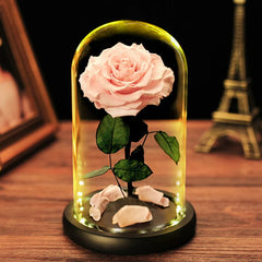 Forever Rose Real Flower with LED Lights in Glass - Black