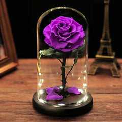 Forever Rose Real Flower with LED Lights in Glass - Black