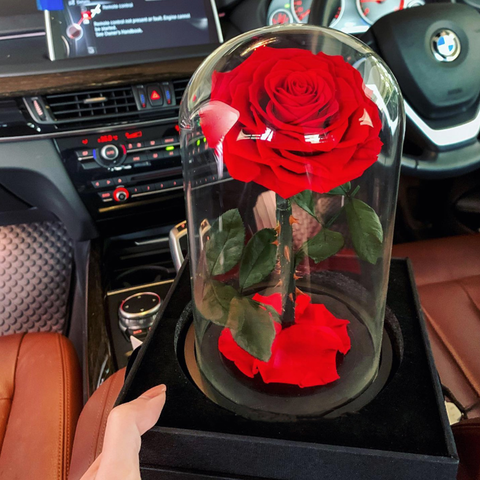 Forever Rose in Glass Dome Timeless Rose A Memory Preserved in a Rose