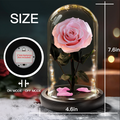 Forever Rose Gifts with LED Lights 3 Days Delivery