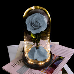 Forever Rose Real Flower with LED Lights - Black