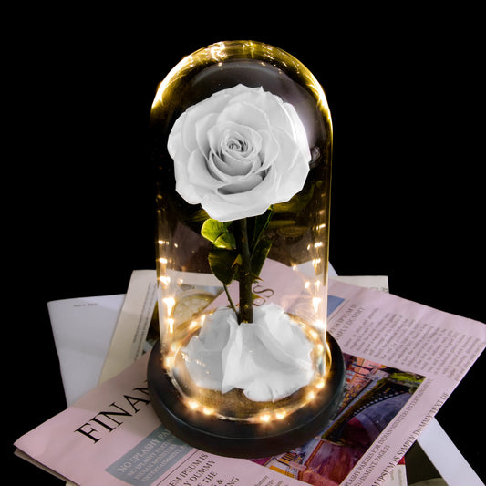 Forever Rose Everlasting Rose with LED Lights - White