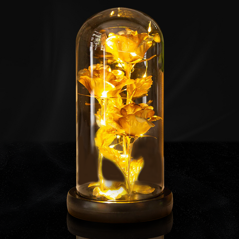 Galaxy Three Rose in Glass Dome with LED Lights