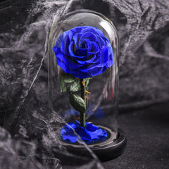 Forever Rose Real Flower in Glass Dome 3 Days Delivery - Black