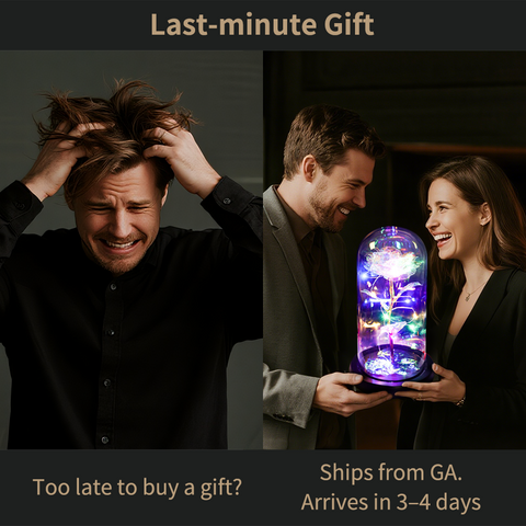 Galaxy Rose in Glass Dome with LED Lights