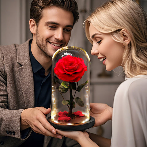Forever Rose Timeless Rose with LED Lights in Glass Dome