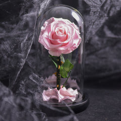 Forever Rose in Glass Dome Decoration - Red